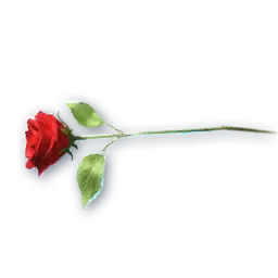 Romantic Rose (Skin: Facewear) (Bound)