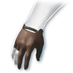 Past Record (Skin: Gloves) (Bound)