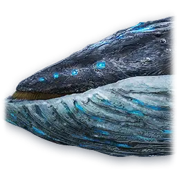 Pet: Void