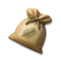 Pine Tree Seed