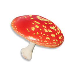 Red Cap