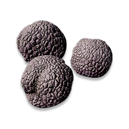 Dawndelion Aromathyst