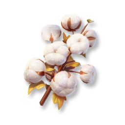 Cotton
