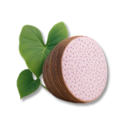 Taro