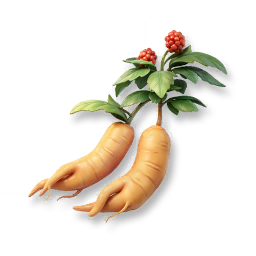 Ginseng