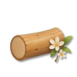 Bitter Orange Tree Timber