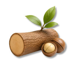Volcano Bean Tree Timber