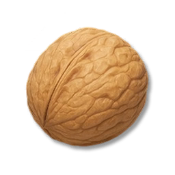 Walnut