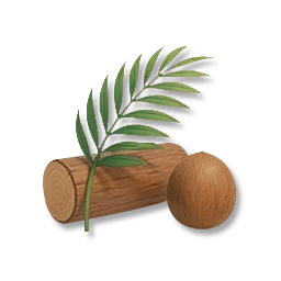 Coconut Tree Timber