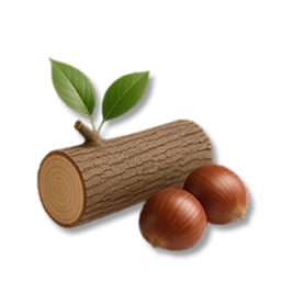 Chestnut Tree Timber