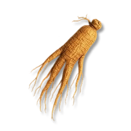 Dried Ginseng