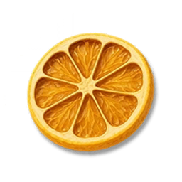 Dried Lemon Slices