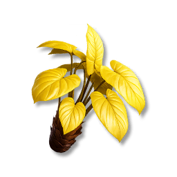 Threadstar Plant