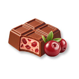 Cranberry Chocolate