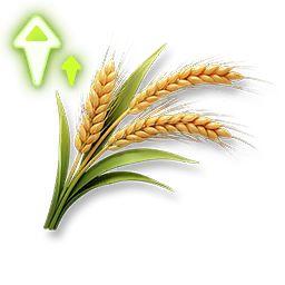 Rapid Recipe: Wheat