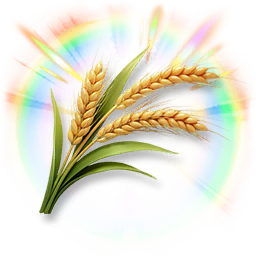 Colorful Wheat