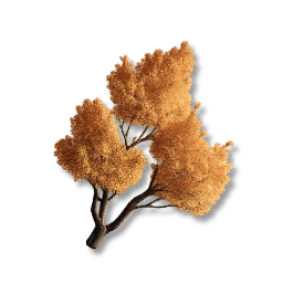 Ridgeback Tree