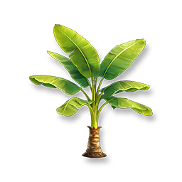 Banana Tree
