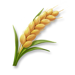 Huge Wheat