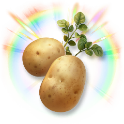 Huge Colorful Potato