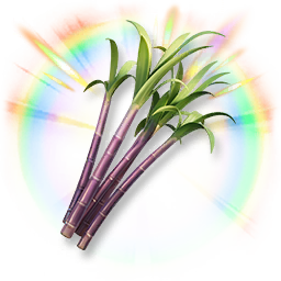 Colorful Sugarcane