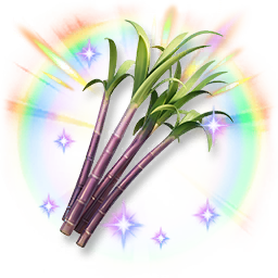 Colorful Shining Sugarcane