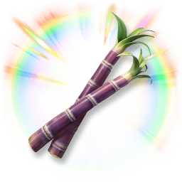 Huge Colorful Sugarcane