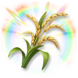 Sparkling Rice