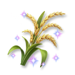 Shining Rice