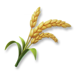 Huge Rice