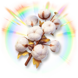 Colorful Cotton