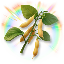 Colorful Soybean