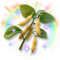Colorful Shining Soybean