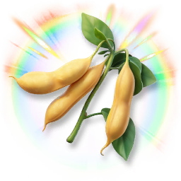 Huge Colorful Soybean