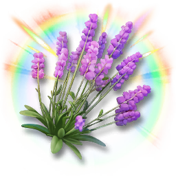 Colorful Lavender