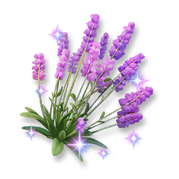 Shining Lavender