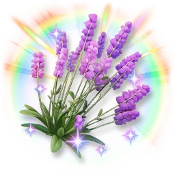 Colorful Shining Lavender
