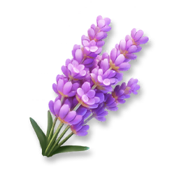 Huge Lavender