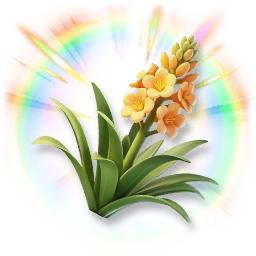 Colorful Agave