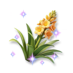 Shining Agave