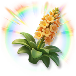 Huge Colorful Agave
