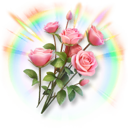 Colorful Rose