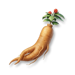 Huge Ginseng