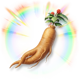 Huge Colorful Ginseng
