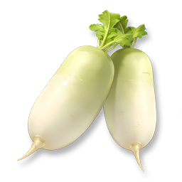 Huge Moondew Radish