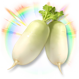 Huge Colorful Moondew Radish