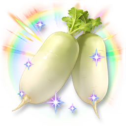 Huge Colorful Shining Moondew Radish