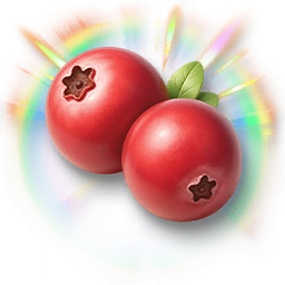 Huge Colorful Cranberry