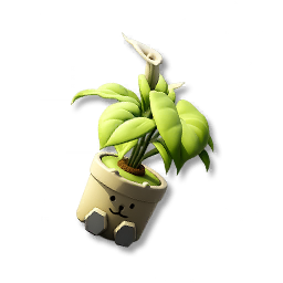Calla Lily