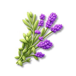 Lavender